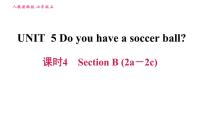 2021学年Unit 5 Do you have a soccer ball?综合与测试习题ppt课件