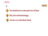 牛津版八年級(jí)上冊(cè)英語(yǔ)習(xí)題課件 期末綜合能力提升練 任務(wù)型閱讀