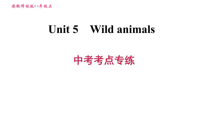 牛津版八年级上册英语习题课件 Unit5 中考考点专练01