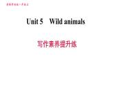 牛津版八年級(jí)上冊英語習(xí)題課件 Unit5 寫作素養(yǎng)提升練