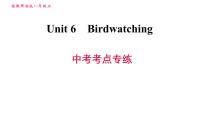 牛津译林版八年级上册Self-assessment习题ppt课件