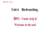 牛津版八年级上册英语习题课件 Unit6 课时1 Comic strip & Welcome to the unit