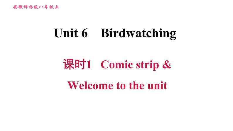 牛津版八年级上册英语习题课件 Unit6 课时1 Comic strip & Welcome to the unit第1页