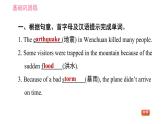 牛津版八年级上册英语习题课件 Unit8 课时1 Comic strip & Welcome to the unit