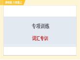 譯林版八年級(jí)上冊(cè)英語(yǔ)習(xí)題課件 專項(xiàng)訓(xùn)練之詞匯專訓(xùn)