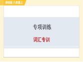 译林版八年级上册英语习题课件 专项训练之词汇专训