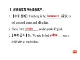 冀教版八年级上册英语习题课件 Unit6 Lesson 31　How Do You Travel