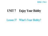冀教版八年级上册英语习题课件 Unit7 Lesson 37　What's Your Hobby