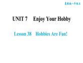 冀教版八年级上册英语习题课件 Unit7 Lesson 38　Hobbies Are Fun!