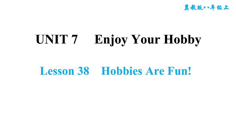 冀教版八年级上册英语习题课件 Unit7 Lesson 38　Hobbies Are Fun!01