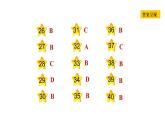 冀教版八年级上册英语习题课件 Unit6 Lesson 34　Flying Donuts