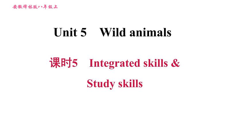 牛津版八年级上册英语 Unit5 习题课件01