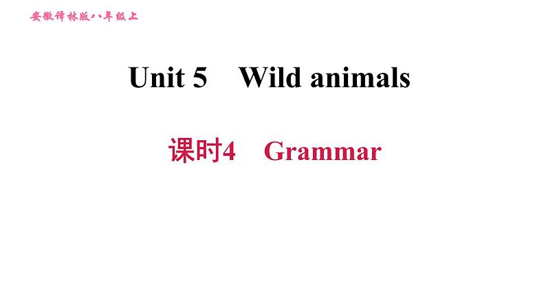 牛津版八年级上册英语 Unit5 习题课件01