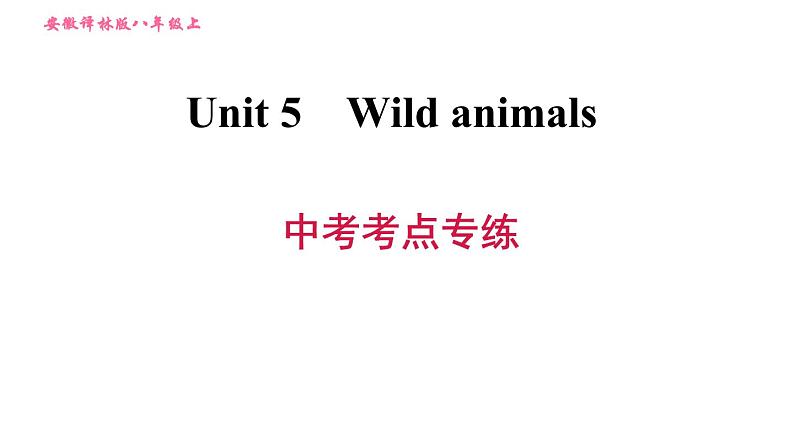 牛津版八年级上册英语习题课件 Unit5 中考考点专练第1页