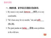 牛津版八年級(jí)上冊英語 Unit5 習(xí)題課件