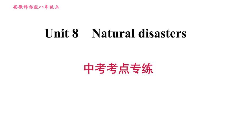 牛津版八年级上册英语 Unit8 习题课件01