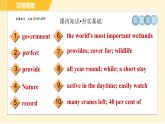 译林版八年级上册英语 Unit6 习题课件
