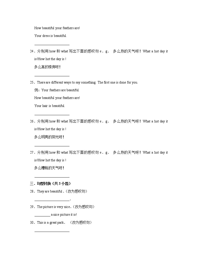 2021年新初一英语专题复习《感叹句》03