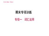 人教版八年级上册英语习题课件 期末专项训练 专项一　词汇运用