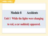 外研版八年级上册英语 Module8 习题课件