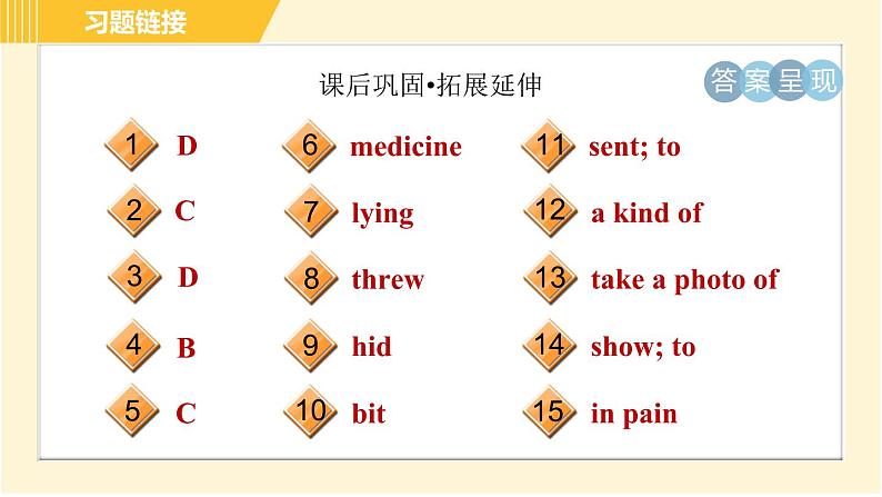 外研版八年级上册英语 Module8 习题课件04