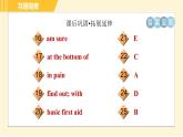 外研版八年级上册英语习题课件 Module12 Unit1
