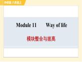 外研版八年级上册英语习题课件 Module11 模块整合与拔高