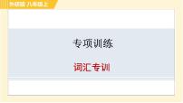 外研版八年级上册英语习题课件 专项训练之词汇专训