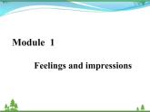 新版外研版八年級(jí)英語下冊(cè) Module1 Feelingsandimpressions Unit3 Languageinuse課件