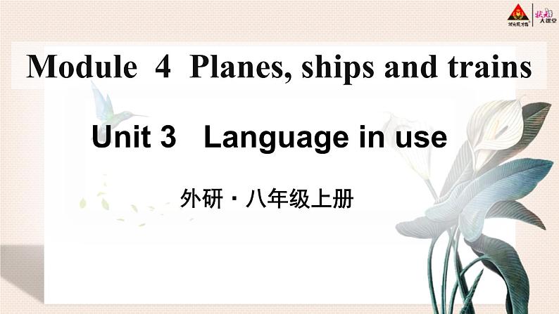 外研英语八年级上册 Module 4 Unit 3 PPT课件03