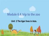 外研版英语七年级上册 M6 A trip to the zoo  Unit 2 The tiger lives in Asia PPT课件
