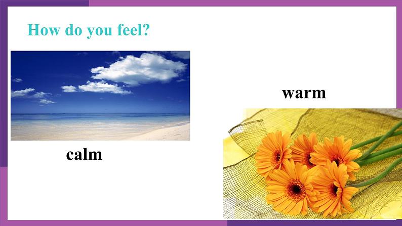 牛津译林版九上Unit 2单元reading1教案课件课时练音频04