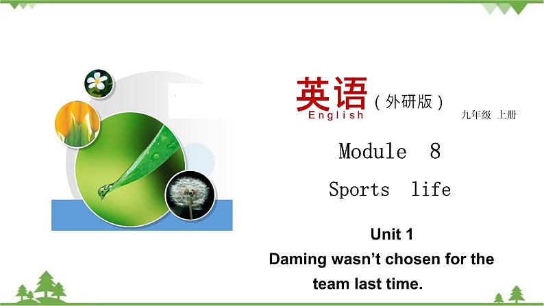 8.1 Unit 1 Daming wasn’t chosen for the team last time-外研版九年级英语上册  同步教学课件第1页