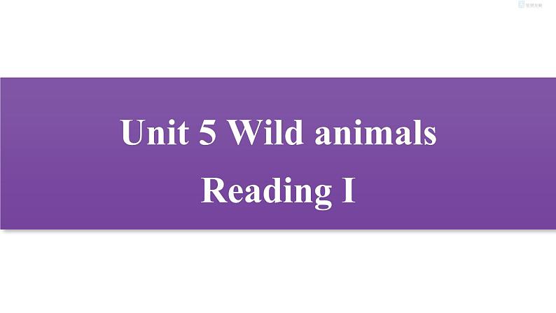 牛津译林版8A unit5 reading1 教案+课件+课时练+音频01