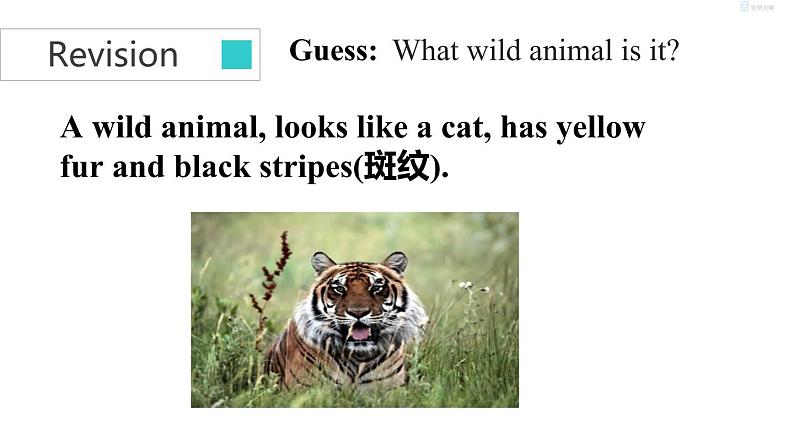 unit５　task第3页