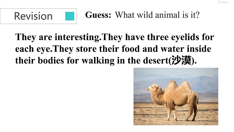 unit５　task第4页