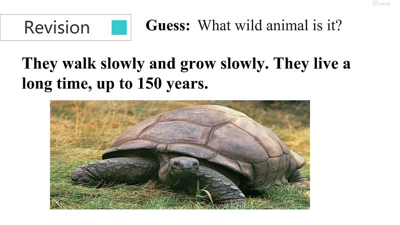 unit５　task第5页