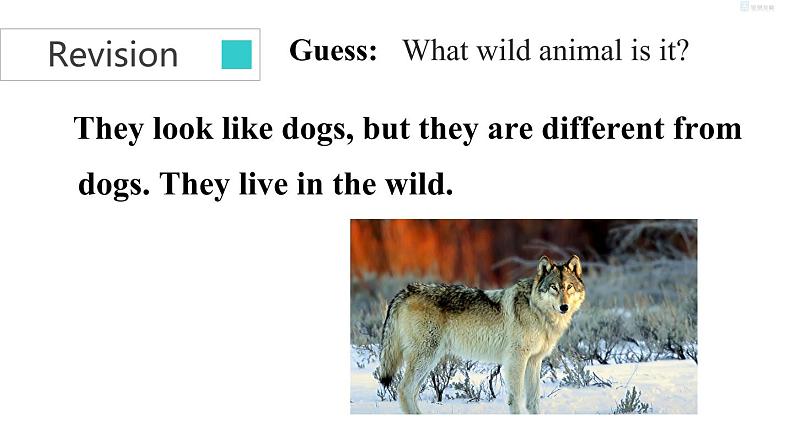 unit５　task第6页