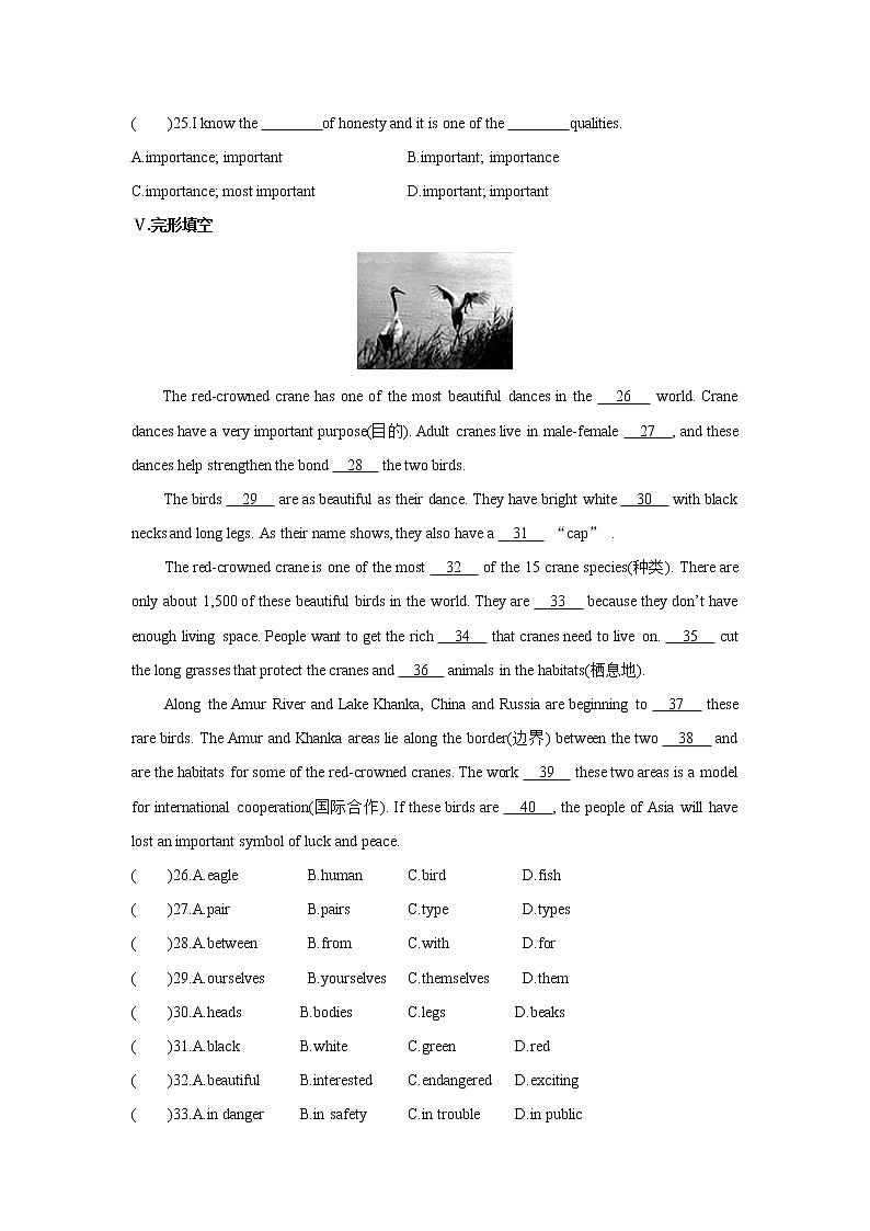 牛津译林版8A unit6 reading2教案+课件+课时练+音频03