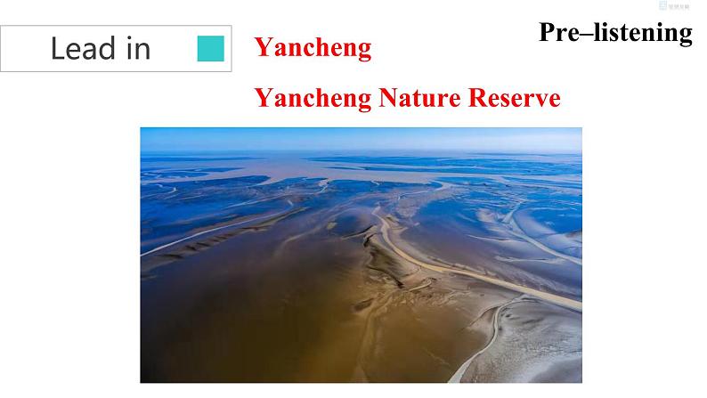 牛津译林版8A unit6 Integrated skills&study skills教案+课件+课时练+音频04