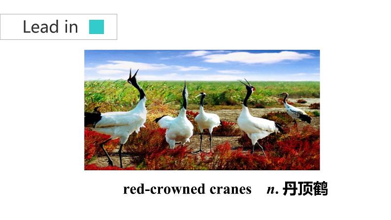 牛津译林版8A unit6 Integrated skills&study skills教案+课件+课时练+音频05