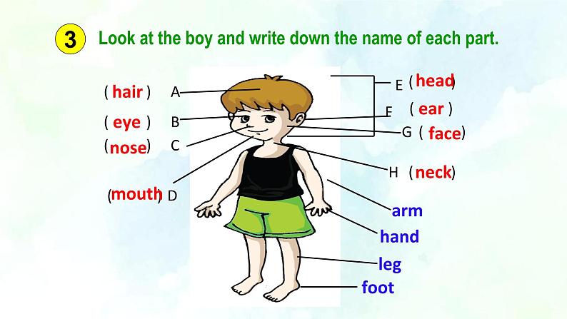 Unit2 Looking different Topic1 I have a small nose SectionB第7页