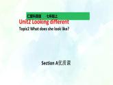 Unit 2 Topic2 SectionA (课件+练习+音视频)