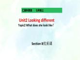 Unit 2 Topic 2 SectionB (课件+练习+音视频)