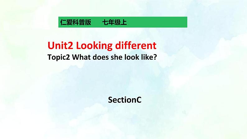 Unit2 Looking different Topic2 What does she look like  SectionC第1页