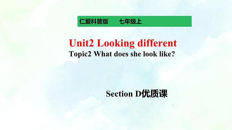 Unit2 Looking different Topic2 What does she look like SectionD第1页