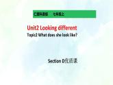 Unit 2 Topic3 SectionD (课件+练习+音视频)