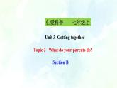 Unit 3 Topic 2 Section B（课件+练习+音视频）