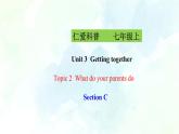 Unit 3 Topic 2  SectionC（课件+练习+音视频）