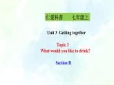 Unit 3 Topic 3 SectionB(课件+练习+音视频)